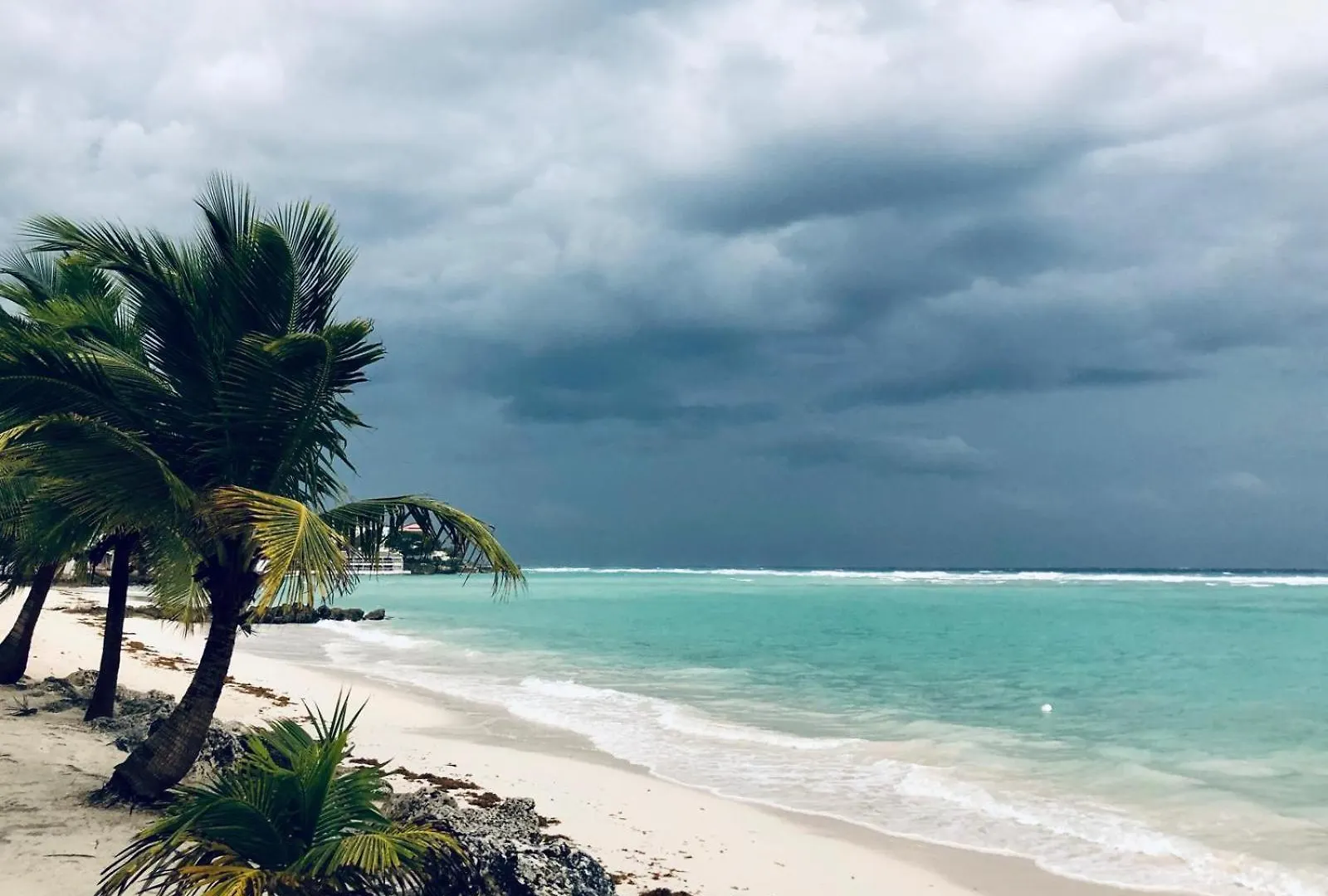 Melrose Beach Apartments Inc Bridgetown Barbados